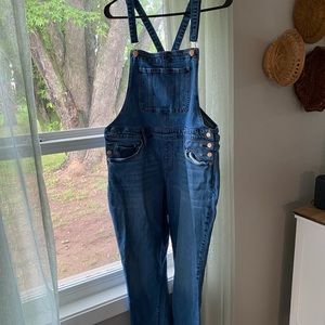 Universal Thread Denim Overalls Raw Hem